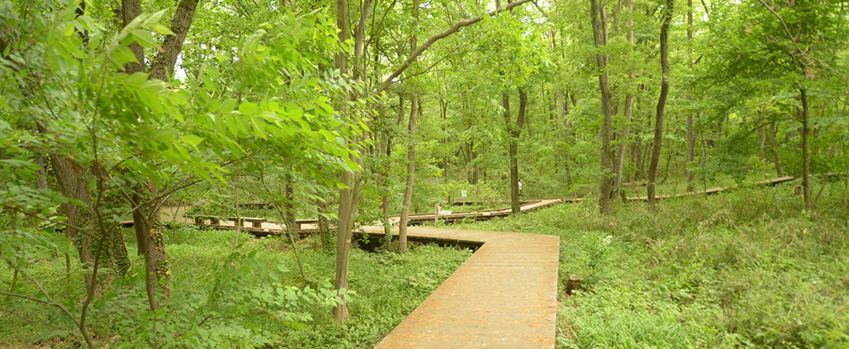 多様な生物が生息する都立公園づくり