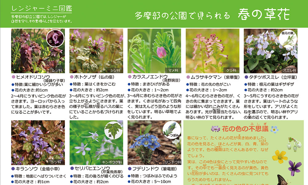 レンジャーミニ図鑑